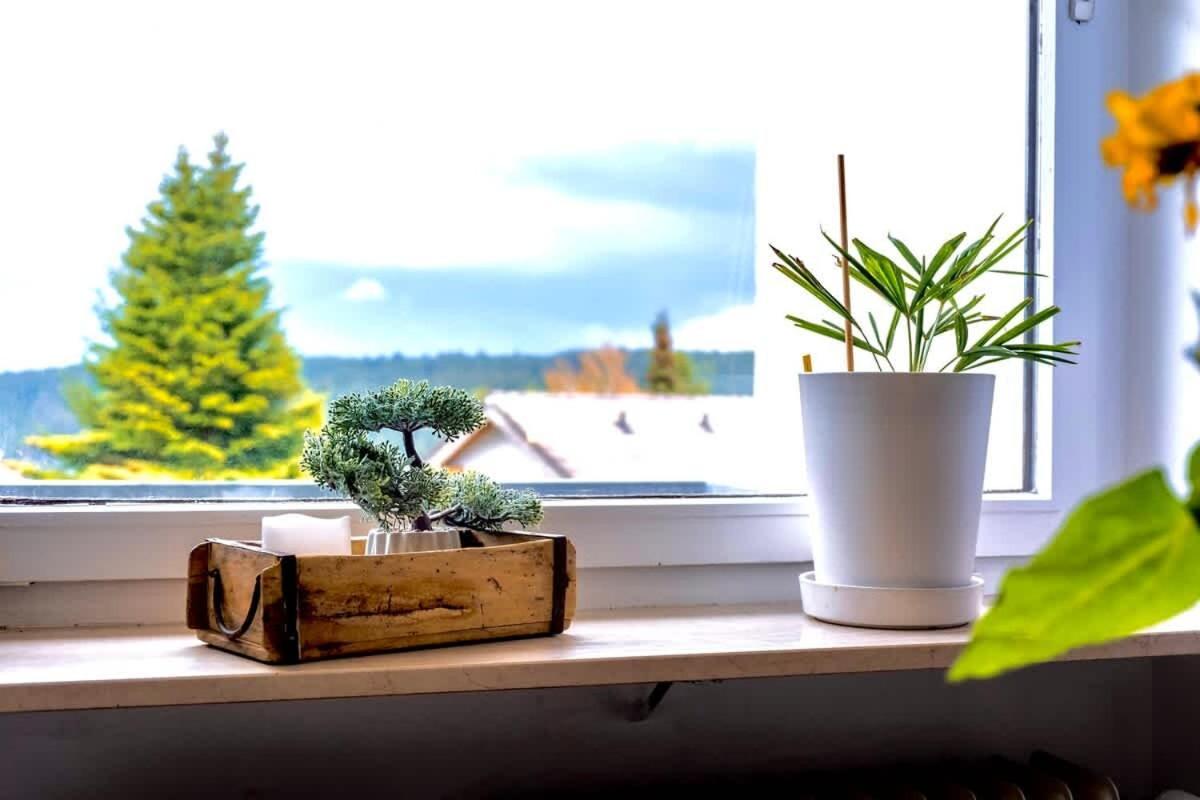 Relaxapartments Black Forest Nature Mit Beheiztem Indoor-Pool Und Sauna - Sonnenbalkon Mit Blick Ins Gruene, Schnelles Internet, Naehe Triberger Wasserfaelle, Fuer Bis Zu 2 Personen Schönwald Bagian luar foto